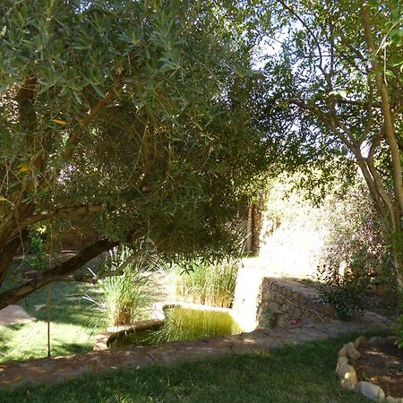 Agadir-Taghazout Magnifique Villa Dar Lina 4 Etoiles Экстерьер фото